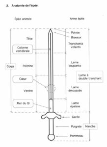 anatomie de l'épée de taiji