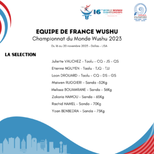 Championnat du Monde Wushu - la selection ffaemc