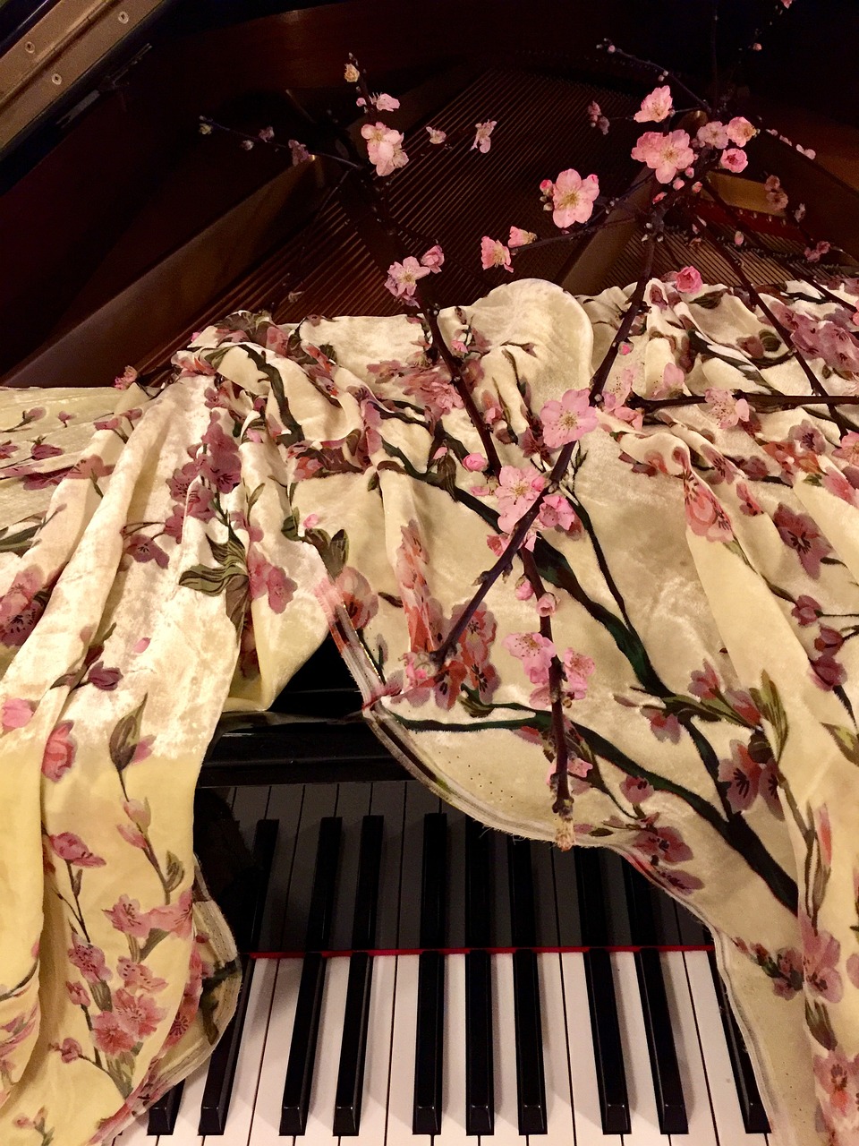 Piano et fleur de prunier