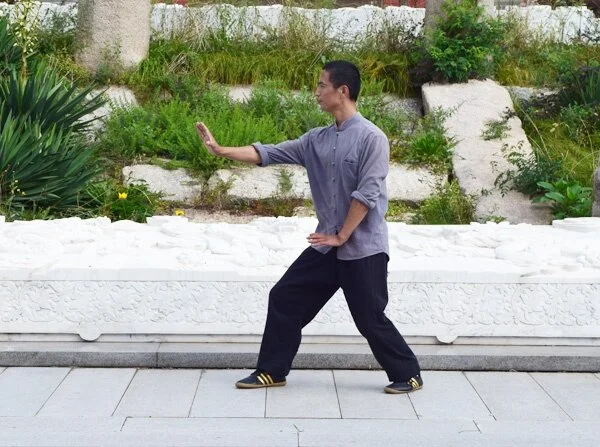 FFAEMC Xingyiquan