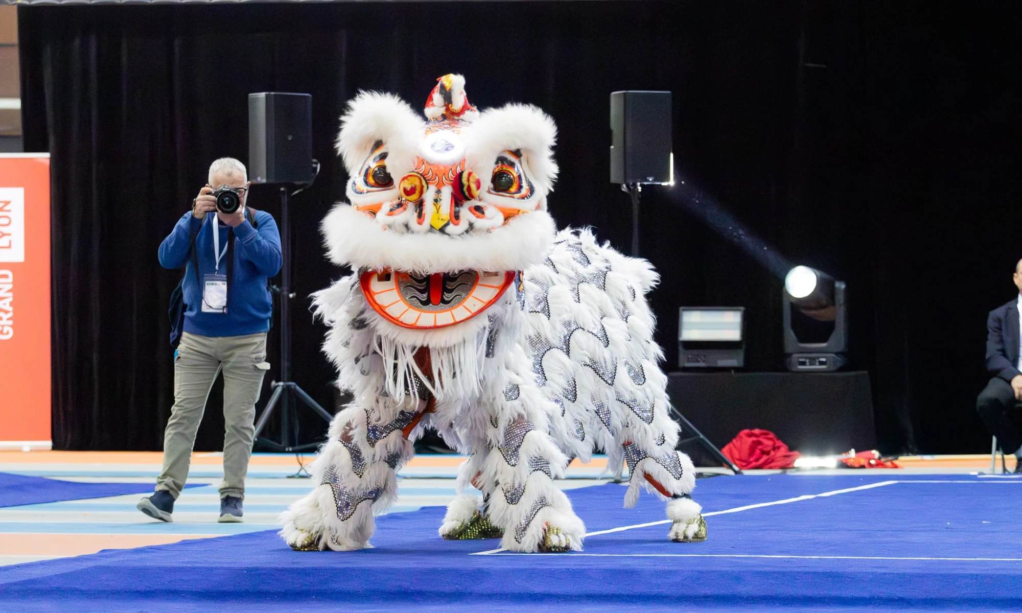 FFAEMC DANSE DU LION