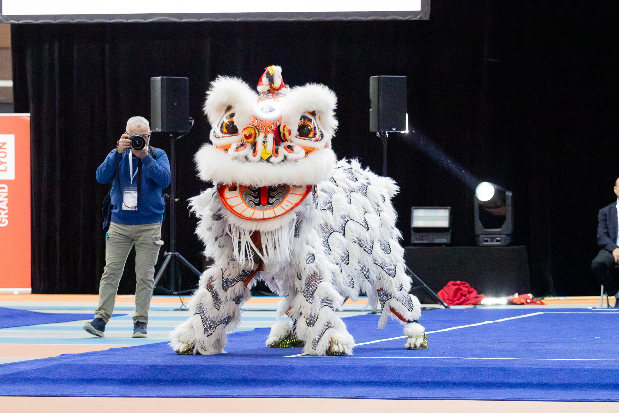 FFAEMC DANSE DU LION
