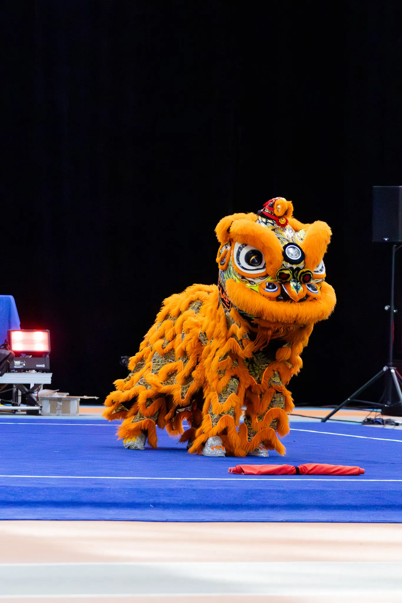 FFAEMC PRATIQUES ASSOCIEES DANSE DU LION
