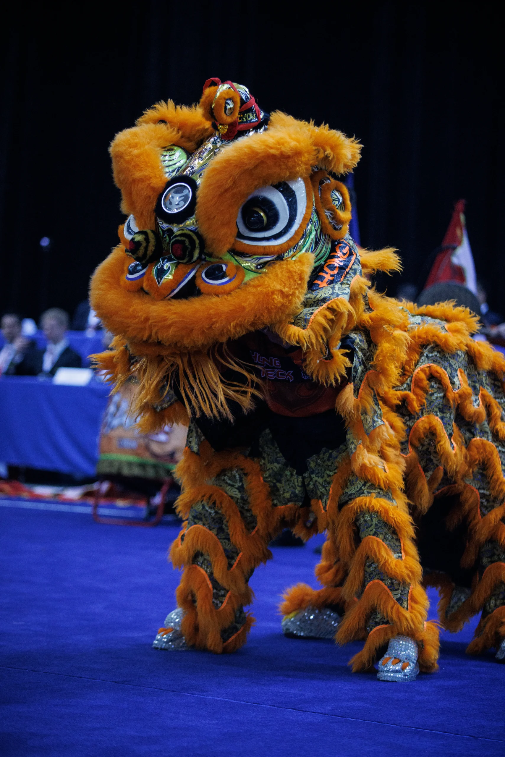 FFAEMC PRATIQUES ASSOCIEES DANSE DU LION