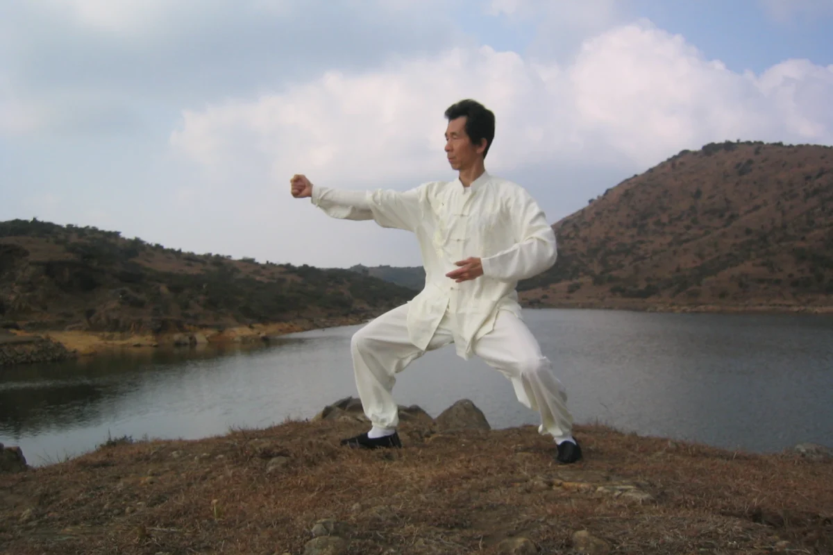 FFAEMC TAICHI TRADITIONEL