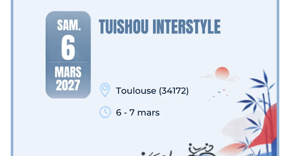 Tuishou Interstyle
